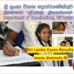 Sri Lanka Exams Results Release to www.doenets.lk website AL OL Grade Five examination department